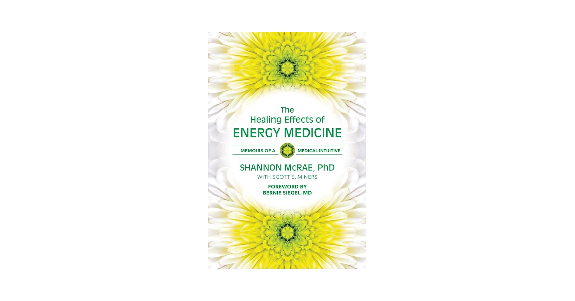 洋書 CONSCIOUSNESS BIOENERGY AND HEALING Consciousness Is All There Is: How Understanding and